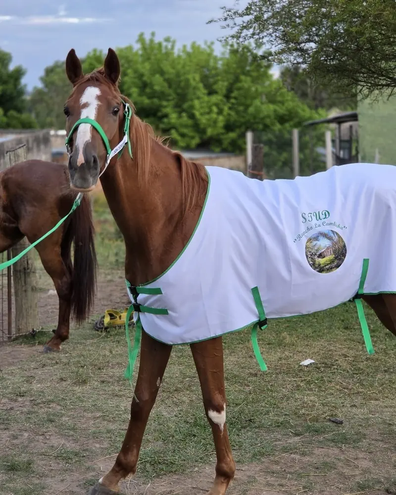 Manta blanca con vivos verdes y logo estampado, hecha a mano por Ejemplares