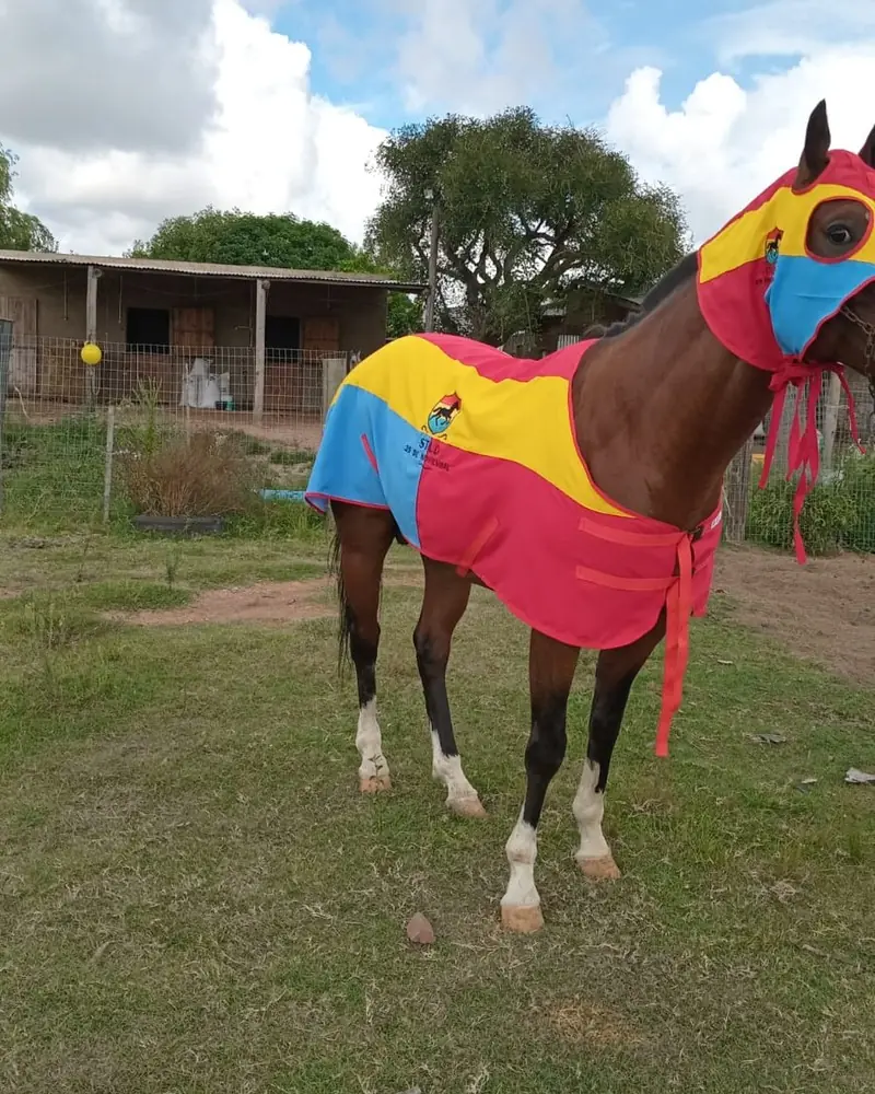 Manta de presentación personalizada con los colores del stud, hecha a mano por Ejemplares