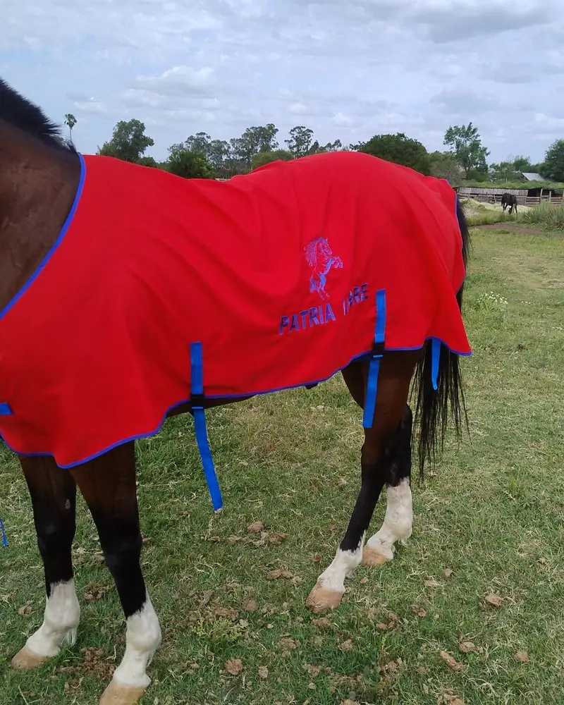Manta roja con vivos azules y bordado, hecha a mano por Ejemplares