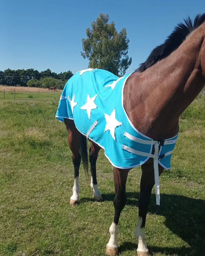 Manta turquesa con estrellas, hecha a mano por Ejemplares