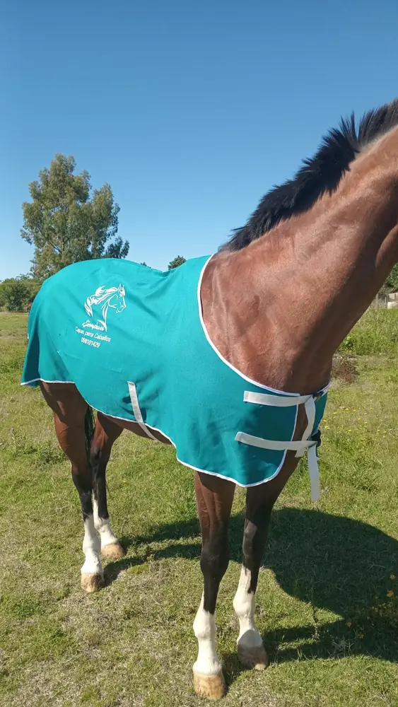 Manta verde esmeralda con vivos blancos y logo, hecha a mano por Ejemplares