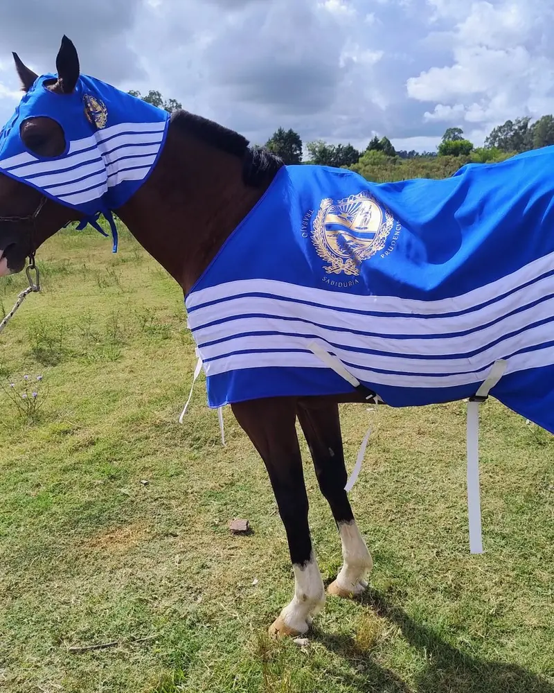 Manta y careta azul con rayas y escudo, hecha a mano por Ejemplares
