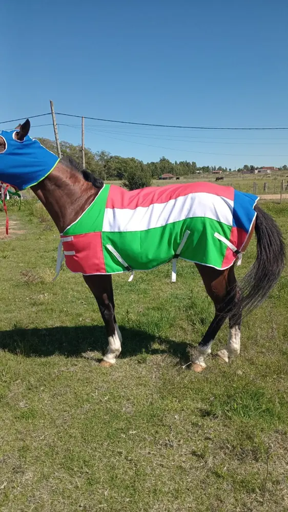 Manta y careta con bandera verde, blanca y roja, hecha a mano por Ejemplares