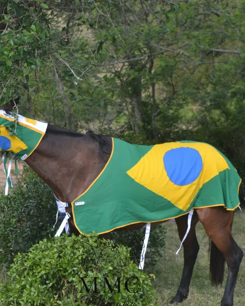 Manta y careta con diseño de bandera de Brasil, hecha a mano por Ejemplares