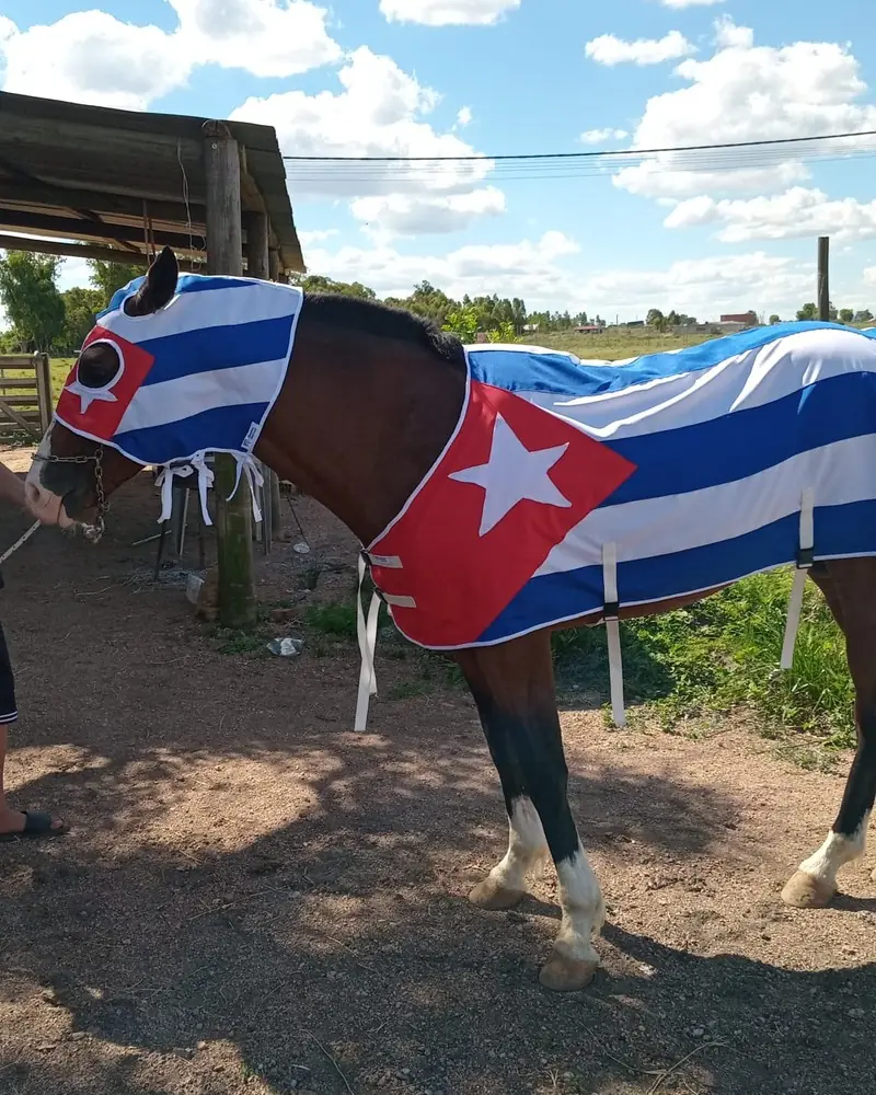 Manta y careta con diseño de bandera, hecha a mano por Ejemplares