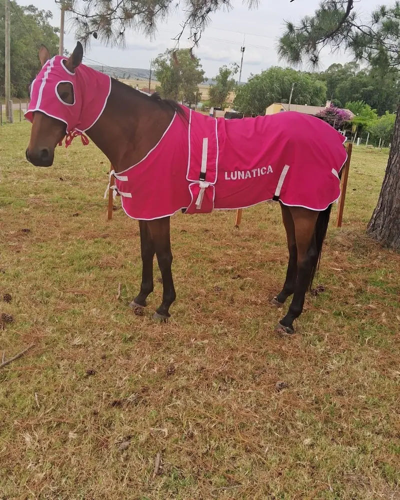 Manta y careta fucsia con vivos blancos y bordado, hecha a mano por Ejemplares