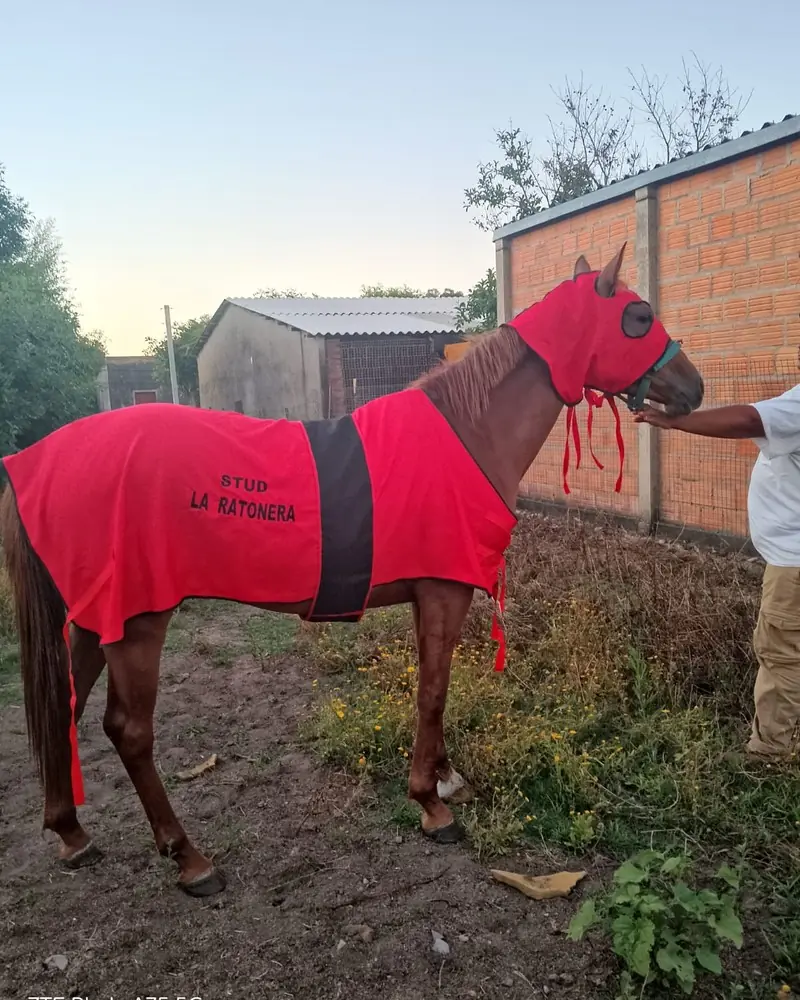 Manta y careta roja con banda negra y texto bordado, hecha a mano por Ejemplares