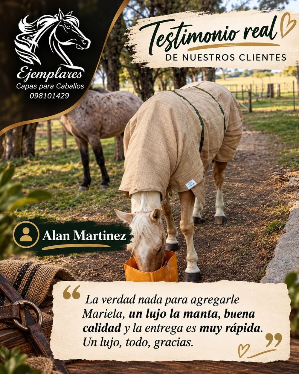 Testimonio de Alan Martínez: Calidad y entrega muy rápida